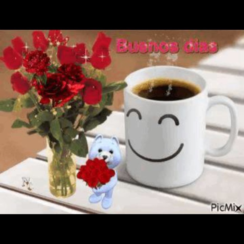 Meet your Posher, Felicia